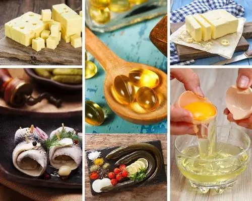 Коллаж витамина D