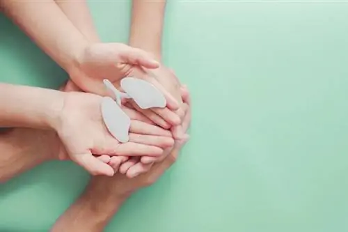 Легочная гипертензия у детей