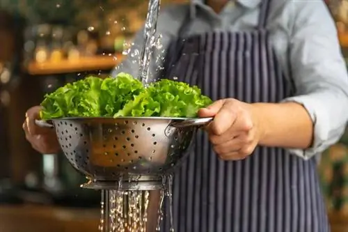 Зеленые листовые овощи