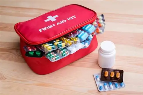 Праздничный набор от аллергии. Какие лекарства от аллергии взять с собой в отпуск?