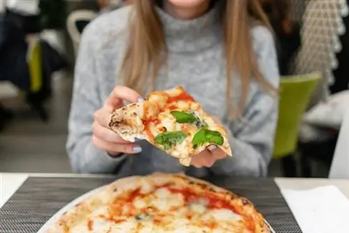 Еда, вызывающая наибольшее привыкание: пицца