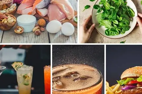 Продукты, наносящие вред почкам. Лучше избегать их