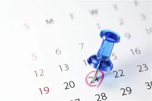 Календарь пыльцы растений