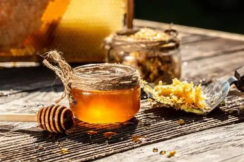 Настойка прополиса - при ангине и афтах. Как сделать настойку прополиса?
