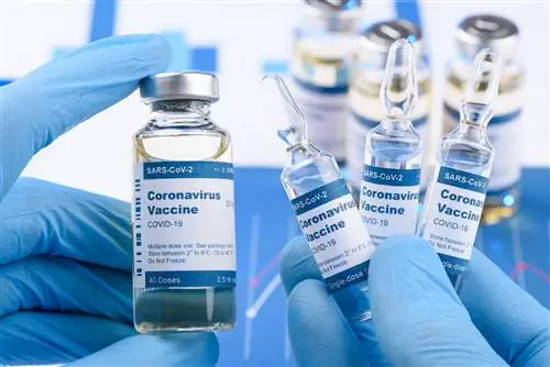 Европейское агентство по лекарственным средствам о преимуществах одобренных вакцин против COVID-19