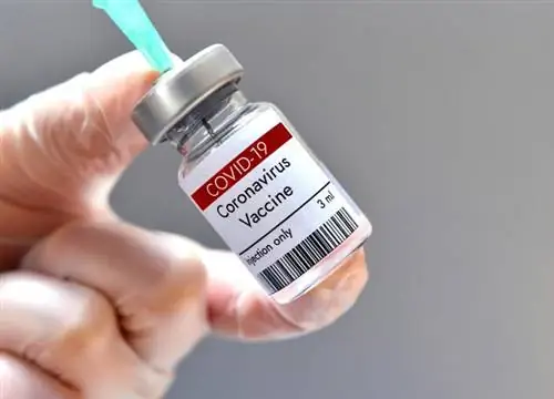 Вакцина Moderna - что мы о ней знаем? Проверьте состав препарата! Вакцина Moderna - что мы о ней знаем? Проверьте состав препарата!