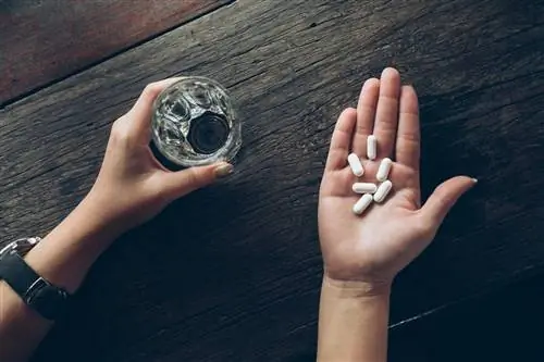 Хлорохин: показания к применению, дозировка, побочные эффекты