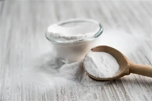 Бикарбонат натрия - действие, показания, дозировка, противопоказания, меры предосторожности