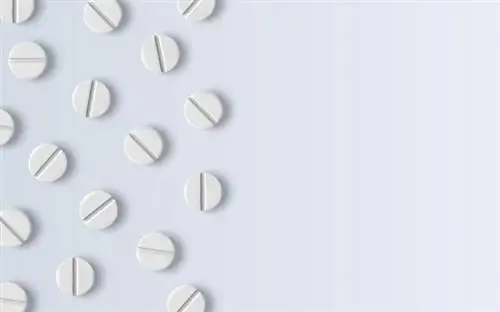 Амбазон - действие, показания, дозировка амбазона