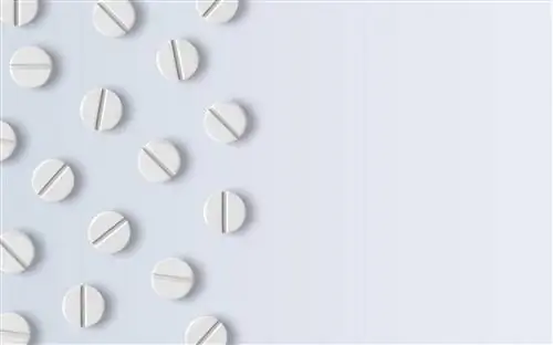 Амбазон - действие, показания, дозировка амбазона