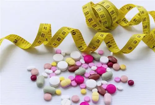 Работают ли добавки для похудения? Удивительные результаты исследований