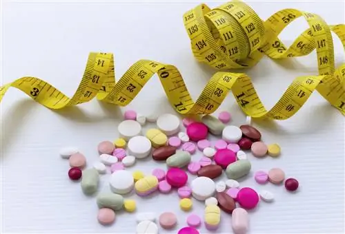 Добавки для похудения под микроскопом. Работают ли они, проверили ученые