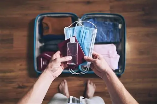 Карантин для путешественников, не входящих в Шенгенскую зону. Введены новые правила