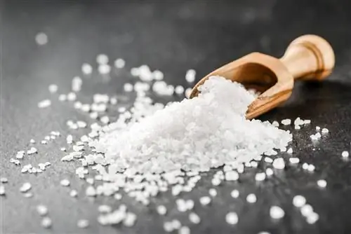 Клодавская соль - пищевая ценность, применение, целебные свойства