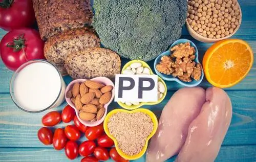 Витамин РР (витамин В3, ниацин) - от чего помогает? В каких продуктах это происходит?