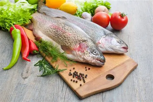 Рыба - виды, пищевые свойства. Рыбки здоровы?