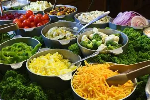 ФУНКЦИОНАЛЬНОЕ ПИТАНИЕ, т.е. пищевые продукты, положительно влияющие на здоровье и самочувствие
