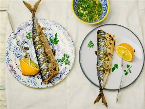 Скумбрия: пищевая ценность свежей, копченой и консервированной скумбрии