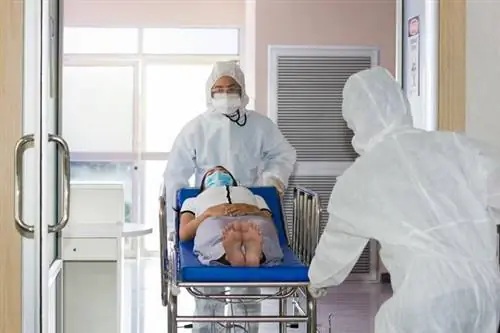 Коронавирус когда вызывать скорую