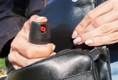 Перцовый баллончик - цена, где купить и как действует?