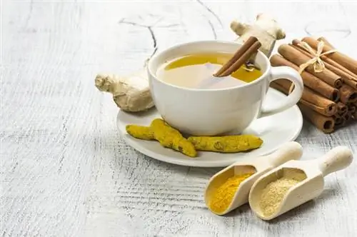 Очищающий чай: 3 домашних рецепта