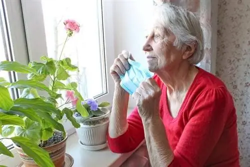 Правительство хочет ввести «почти локдаун» - что это значит?