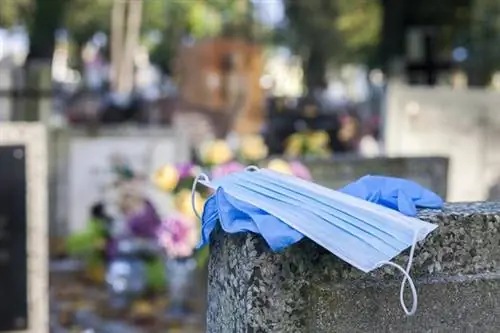 Почему врачи призывают людей оставаться дома 1 ноября? Будет ли дополнительный выходной?