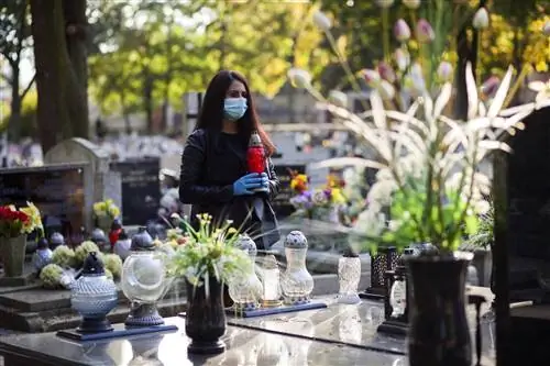 Коронавирус и Всех Святых: правила безопасности на кладбище