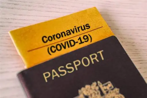 COVID-паспорт COVID-паспорт
