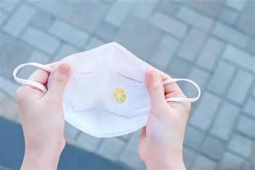 Нужно ли людям, перенесшим COVID-19, носить маски?