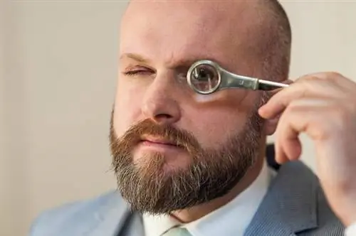 Кристофер Ланда