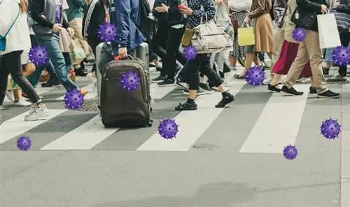 Бессимптомные носители