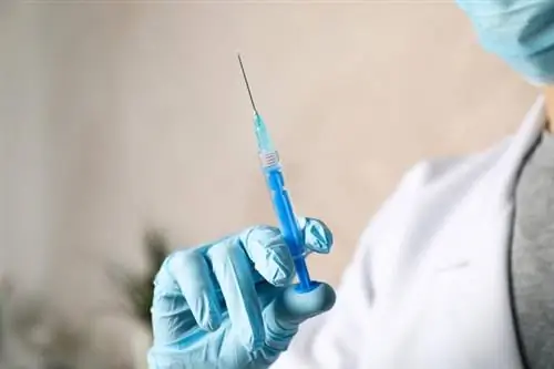 График прививок от COVID-19. Регистрация для 59-летних начинается сегодня