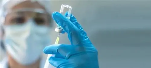 Когда начнется запись на вакцинацию от COVID-19 для следующих групп?