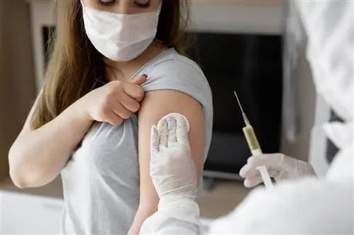 Прививка от COVID-19: устранен системный сбой, возобновлена электронная регистрация