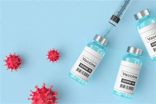 Вакцина AstraZeneca носит новое название. Его состав остается неизменным