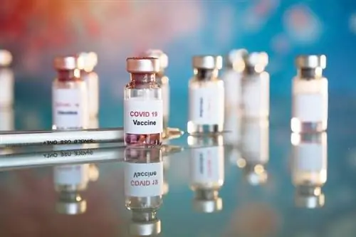 Каков риск тяжелой аллергической реакции на вакцину COVID-19? Каков риск тяжелой аллергической реакции на вакцину COVID-19?