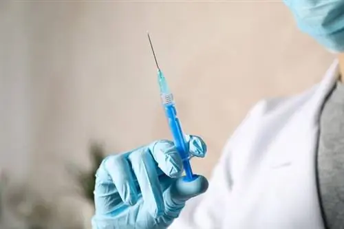 Иммунодефицит - показание к более быстрой вакцинации
