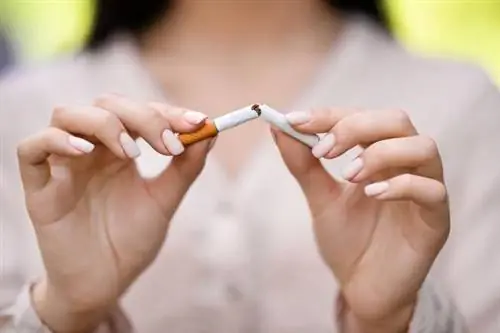 Хотите бросить курить? У ученых есть еще один веский аргумент
