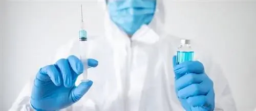 Нужно ли прививать реконвалесцентов от COVID-19? Эксперты развеяли сомнения