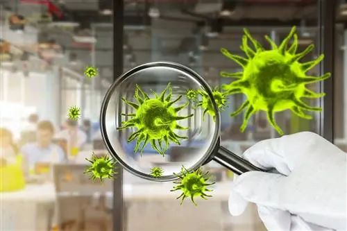 Нового коронавируса нет. Вирусолог: это всего лишь новый генетический вариант