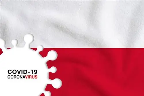 Новые ограничения в связи с праздниками