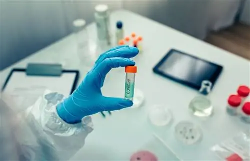 Коронавирус: назальная вакцина лучше инъекции? НОВОЕ ИССЛЕДОВАНИЕ