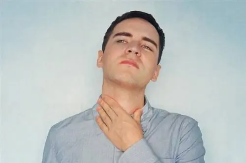 Адамово яблоко