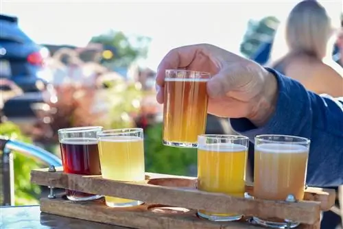 Пивная диета – что это такое? Один мужчина похудел на ней на 20 кг