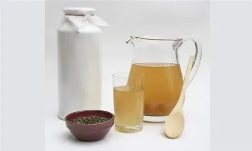 Чайный гриб - рецепт напитка из чайного гриба. Как приготовить напиток из чайного гриба?