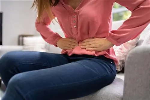 Аппендицит - симптомы. Проверьте, каковы симптомы аппендицита