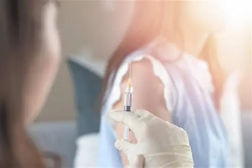 Вакцины – лучшая защита от все более серьезной пневмонии