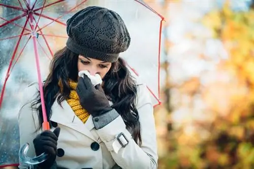 Что пылится в ноябре? Какая пыльца вызывает аллергию в ноябре?