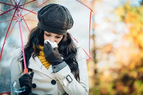 Что пылится в ноябре? Какая пыльца вызывает аллергию в ноябре?